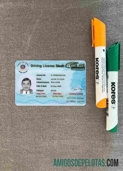 Carteira de motorista da província de Sindh no Paquistão (atual 2016) fotolook frente exemplo